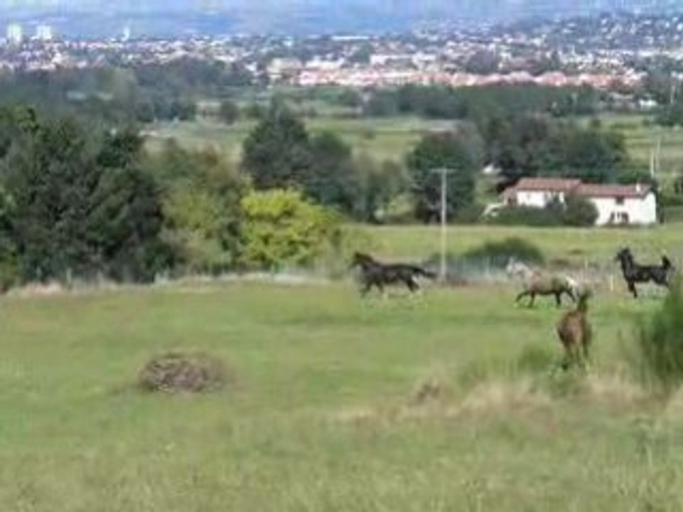 Vidéo3 15-09-2008