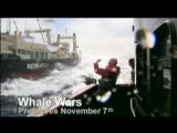 The Sea Shepherds vs. The Whalers