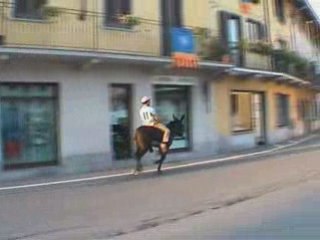 Palio degli Asini in Cameri (NO)