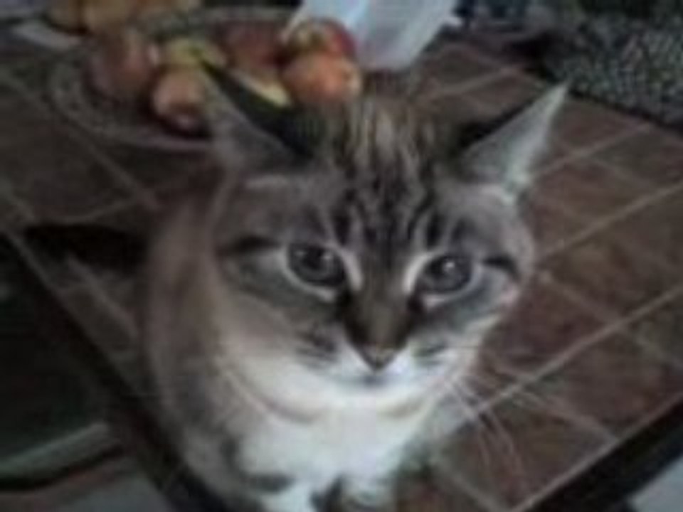 Lili
