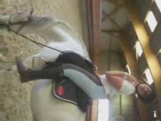 cruauté envers 2 chevaux!