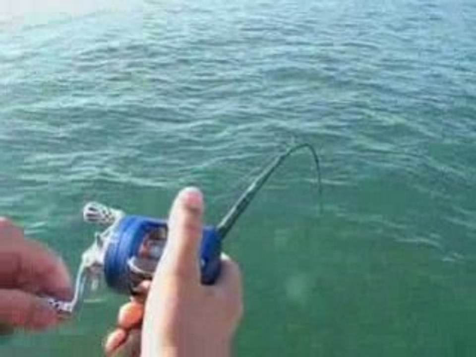 Session peche en mer ete 2008