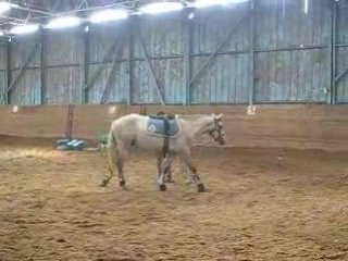 Start up septembre 2008 mise sur le cercle