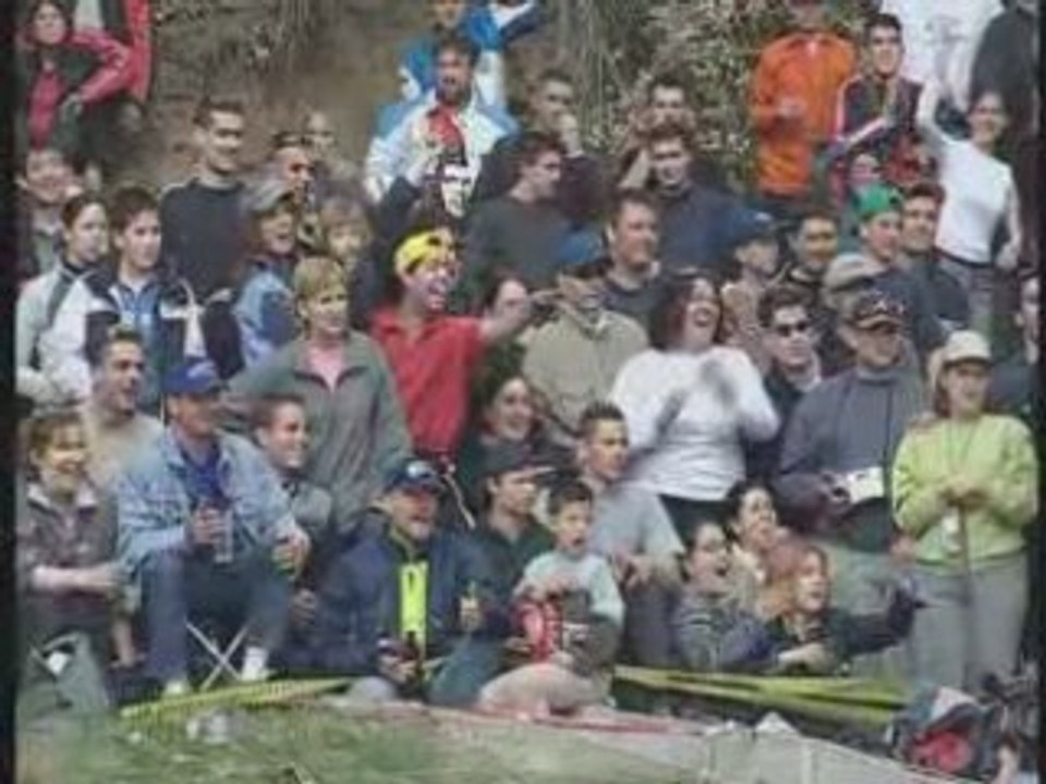 Panizzi Peugeot 206 WRC - Catalogne 2002 360°