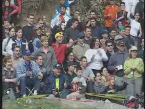 Panizzi Peugeot 206 WRC - Catalogne 2002 360°