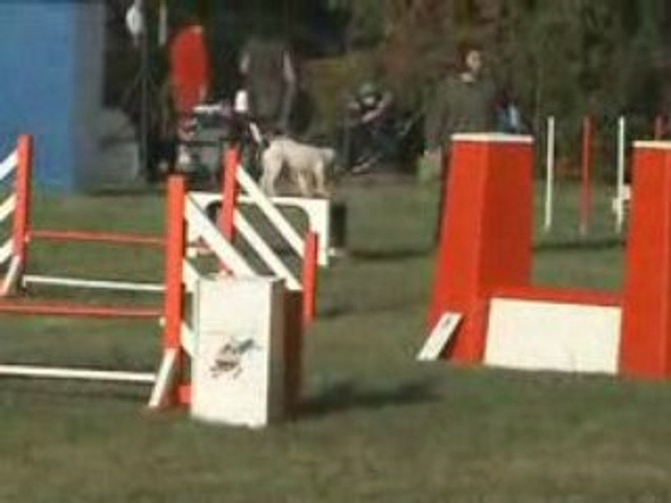 Flo-brooklyn 1 eurocopter