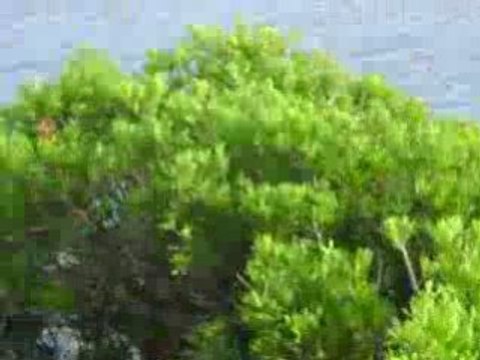 Lloret del mar espagne