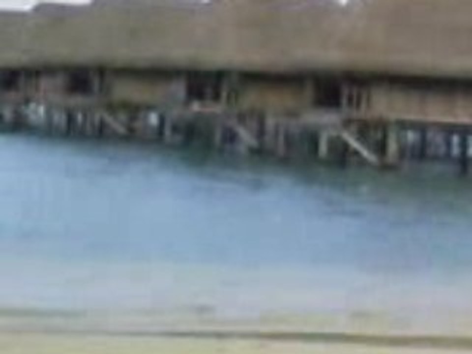 DISCONICO LIVE Piscine MOOREA