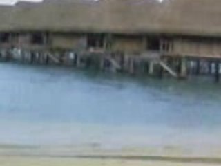 DISCONICO LIVE Piscine MOOREA