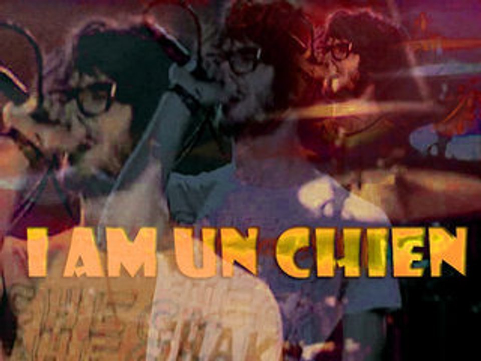 I AM UN CHIEN @ FLECHE DOR