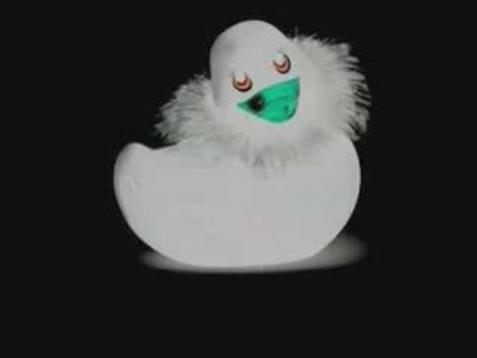 "Dicky Duck Scratch" ED-WAR