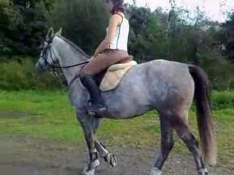 Perle et moi marche dehors