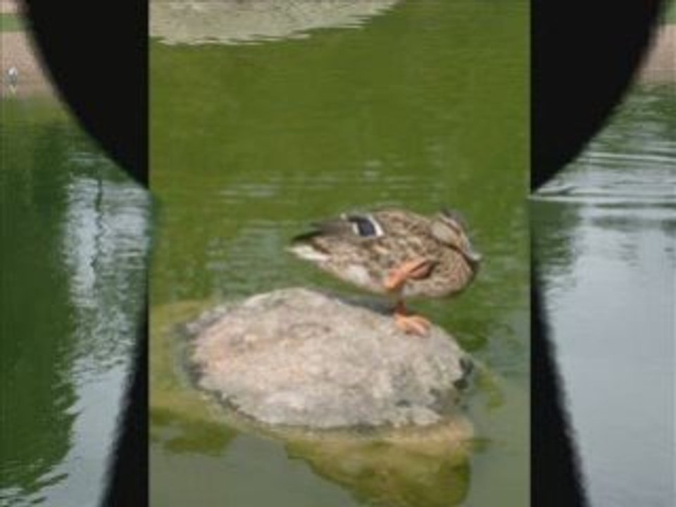 Le week end avc les filles_0001