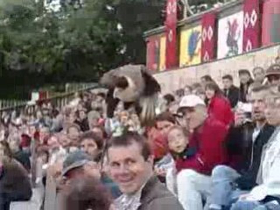 Le Bal des Oiseaux Fantomes 4 Puy du Fou