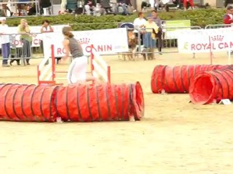 venise Masters agility 08