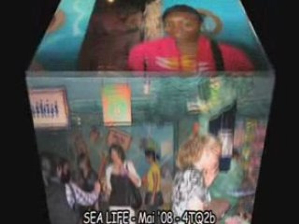 Sea life