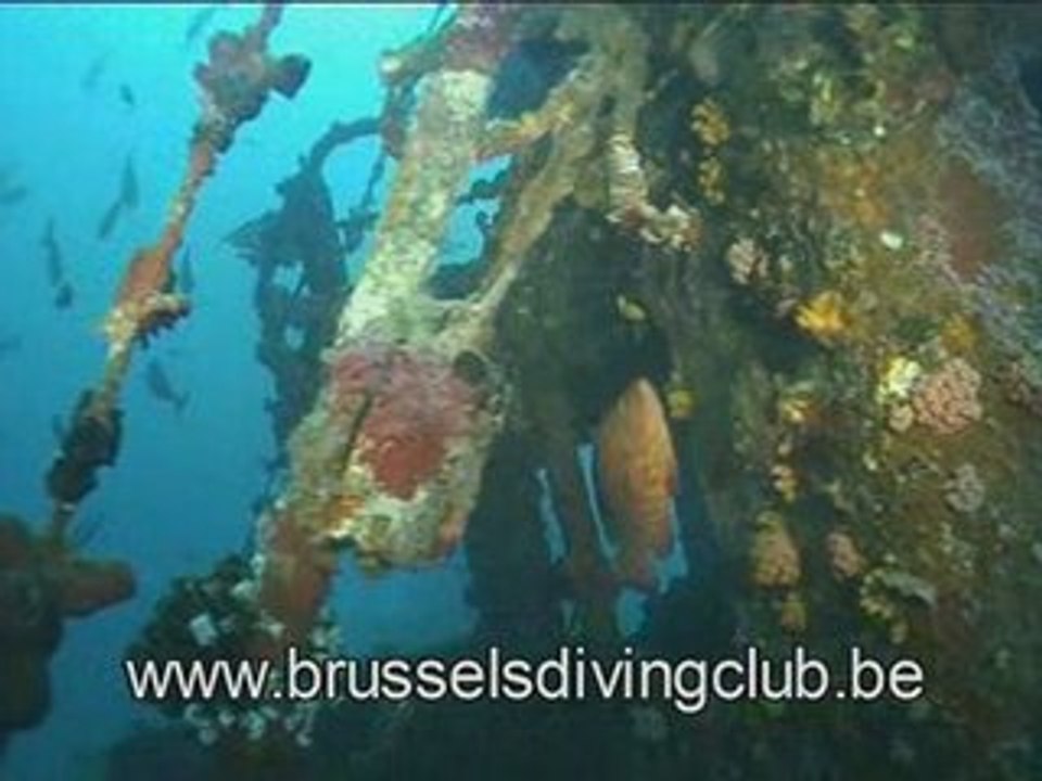 épaves aux Maldives