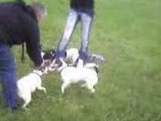 Vidéo rencontre jack