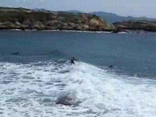 Petit smurf sur la côte bleue