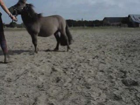 Lutin, début de déplacements latéraux