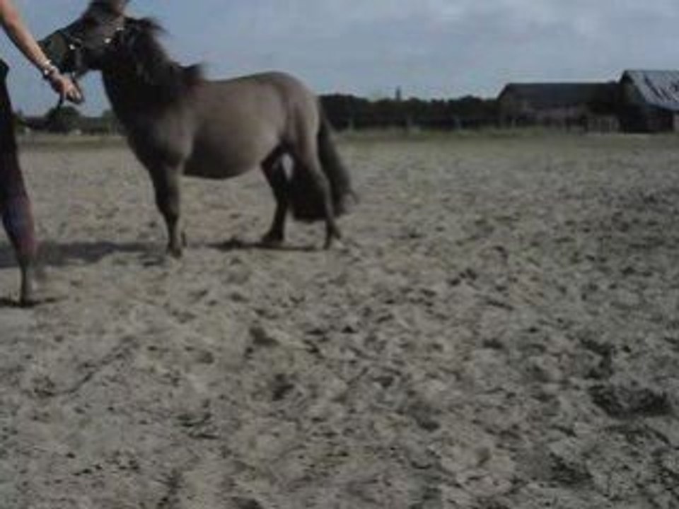 Lutin, début de déplacements latéraux