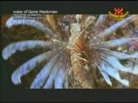 Green For All: An Interview with Founder Van Jones, J.D.