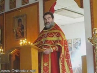 Parable Of The Vineyard