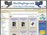 Pugs - Black Pugs - Black Pug Dogs - AKC Black Pug Dogs