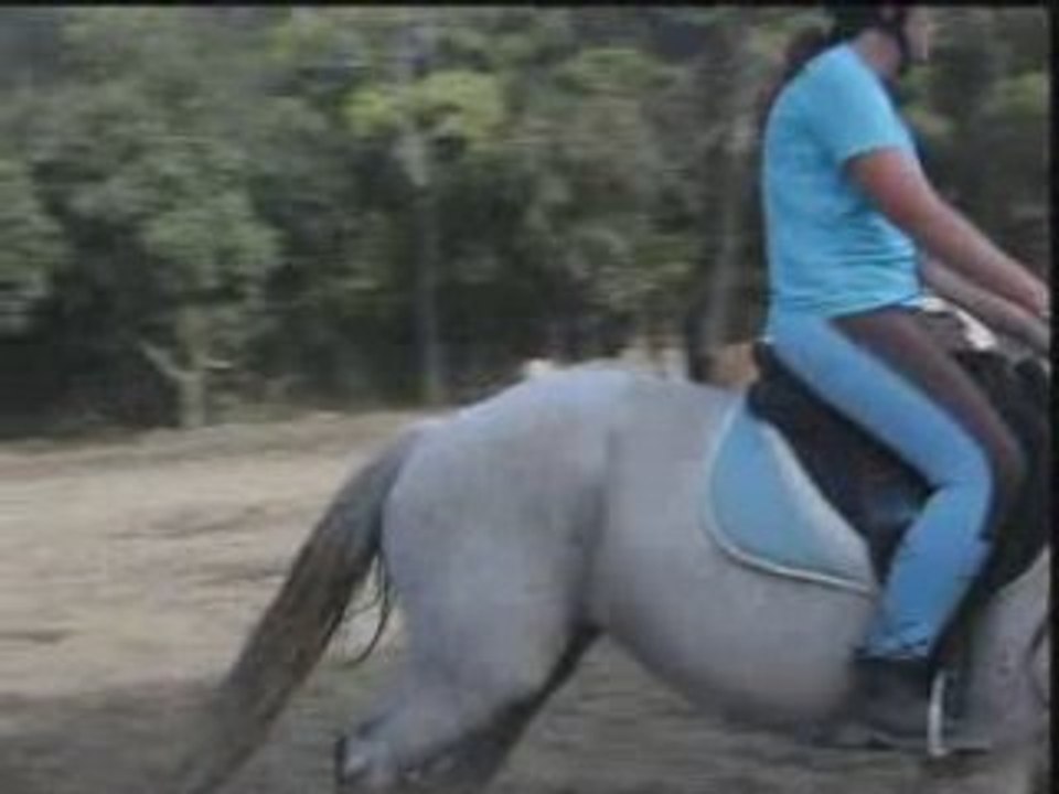 Reprise du 17/08/09