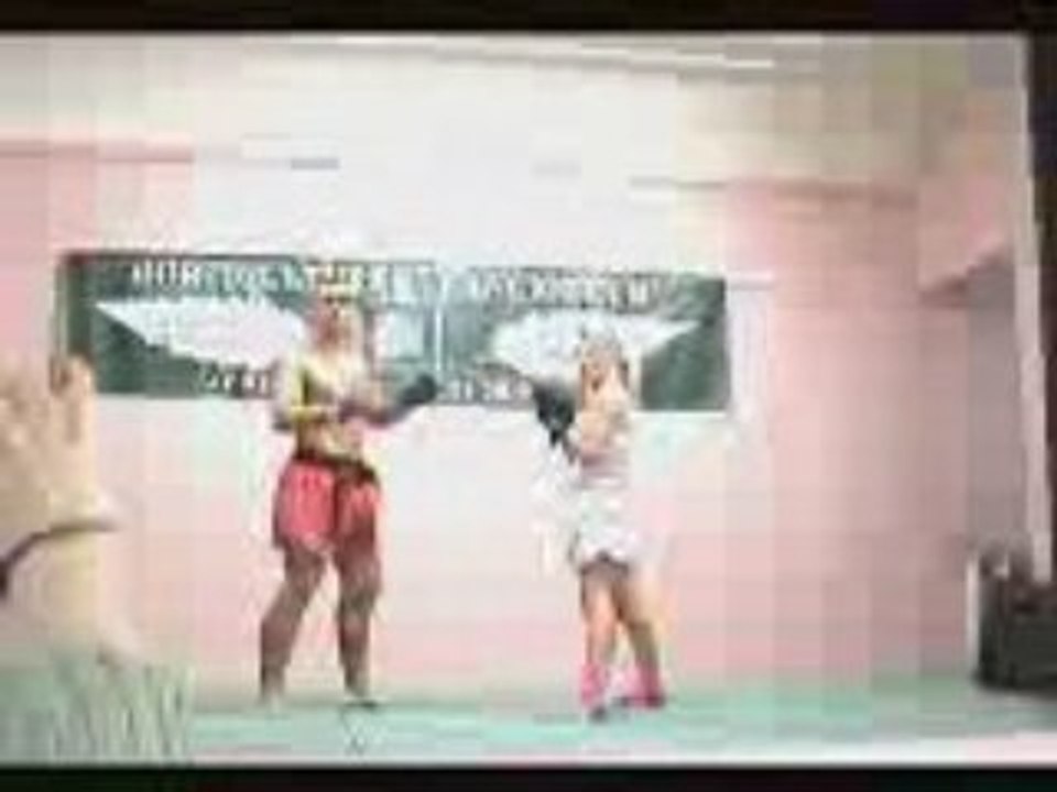 démonstration de kempo avremesnil 2008