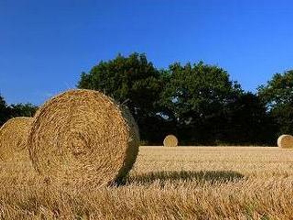 Harvest(Neil Young cover)(sous-titres fran/ang dispos!!!)