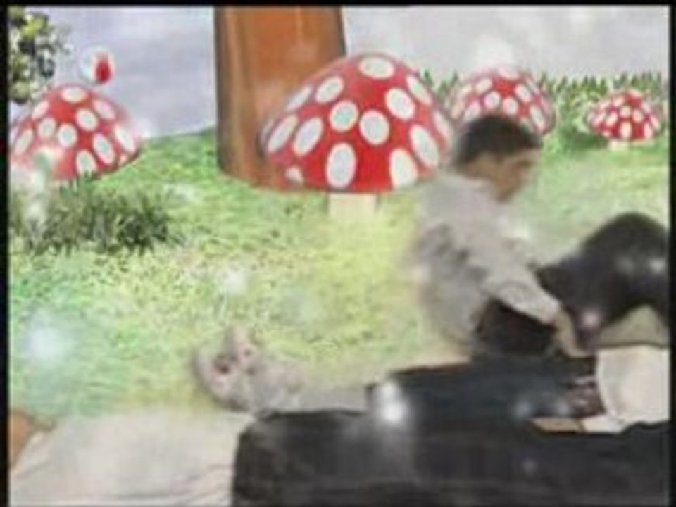 Beyaz Güvercinler Sevgili Peygamberim