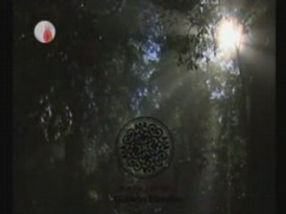 Ertuğrul Erkişi Güllerin Efendisi