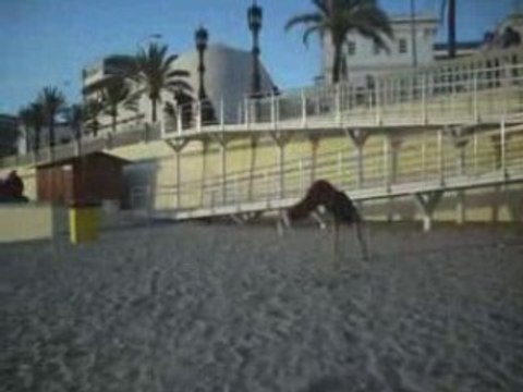 Moisés Vera & Alvarito break - Minisampler 2008