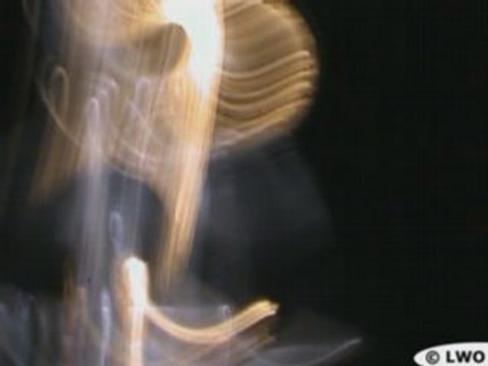 Panda Sara Copper by YANG Maolin (Graff Video by LWO 2007)