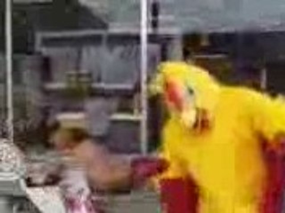 la dance du canard