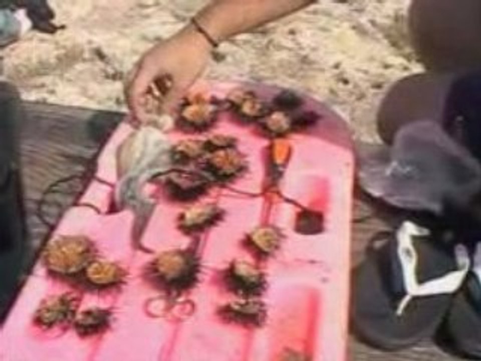 VIDÉO ITALIE
