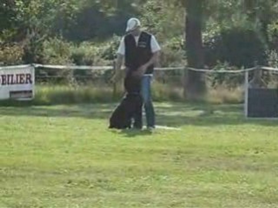 entrainement rci rapports d'objets (haie et palissade)