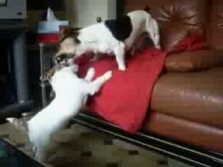 Booba Delly mode speed