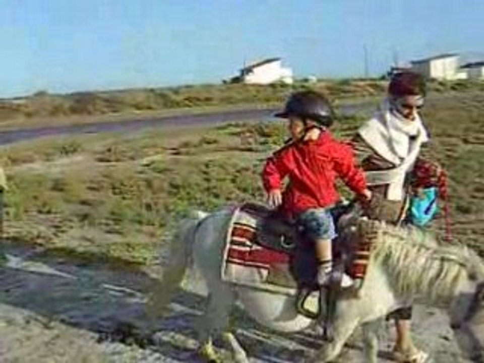 Antonin et Tom 234