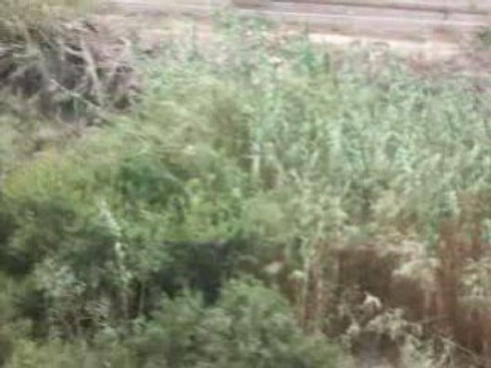 Frontiere entre l'Algerie et le Maroc