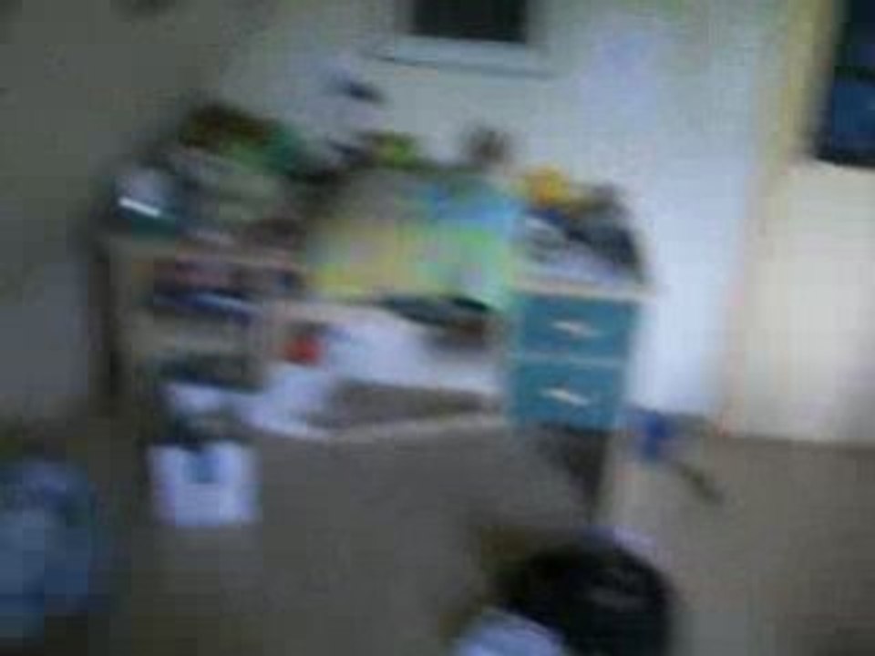 Vid (1)