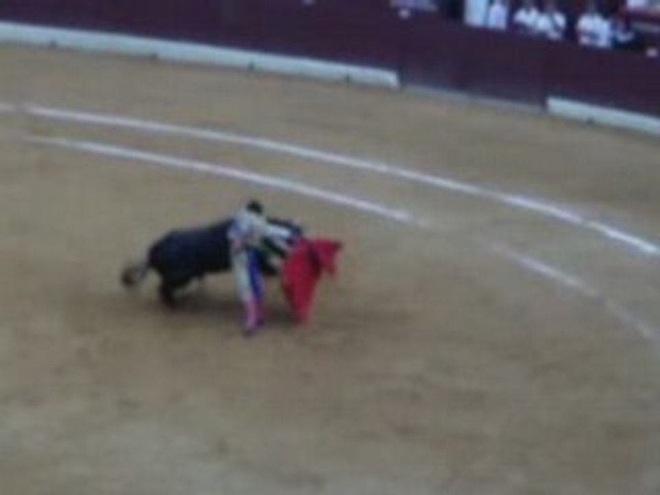Morante