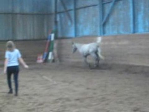 Jeudi 18 septembre barre au sol au galop