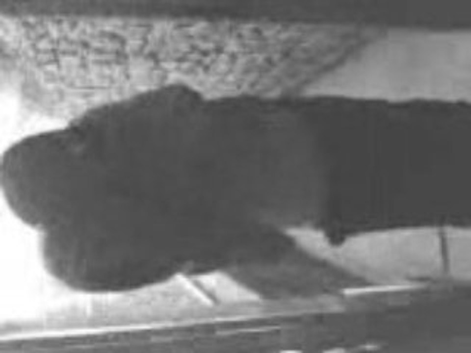 Moi &² Ma Petite Soeur De Coeur