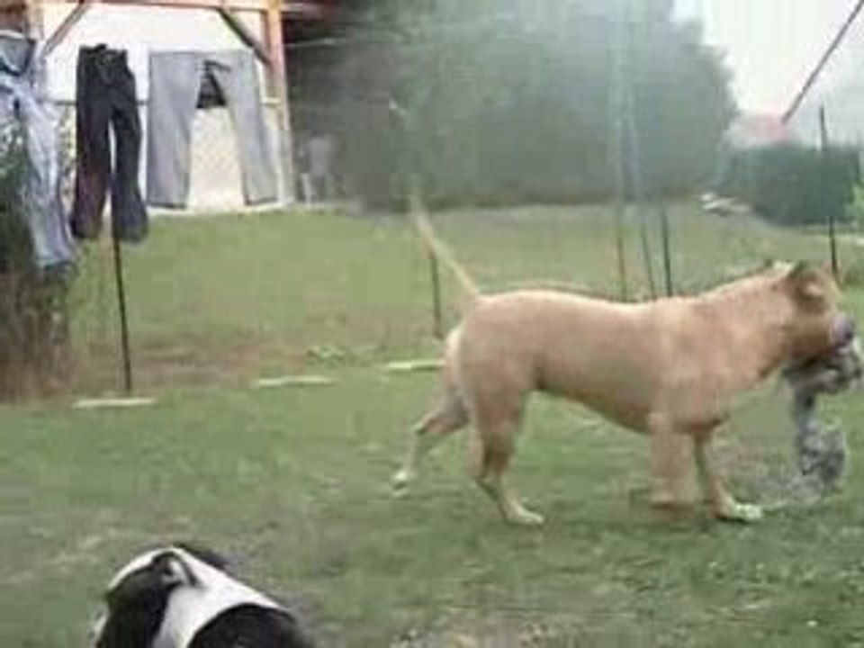 Video 2