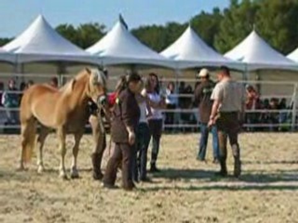 remise du livre à Andy Booth aux rdv étho