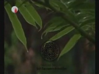 Mehmet Emin Ay Şol cennetin ırmakları