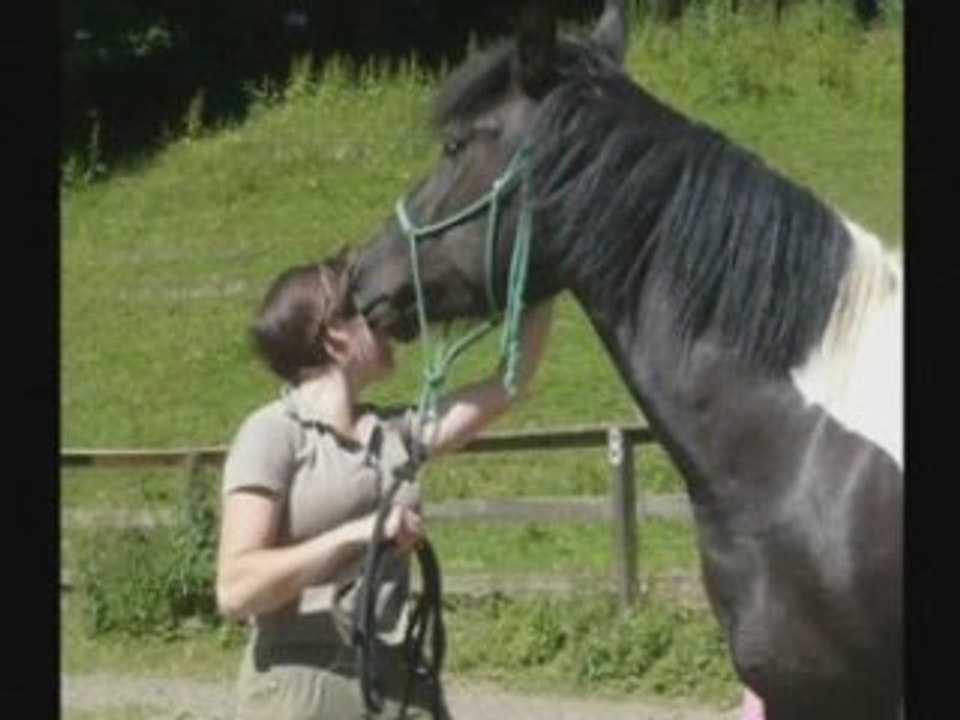 poney passion