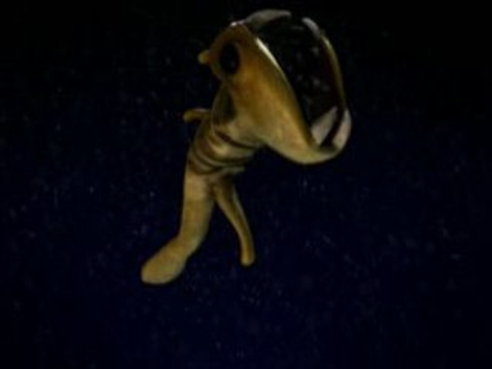 Singing Squid 2007